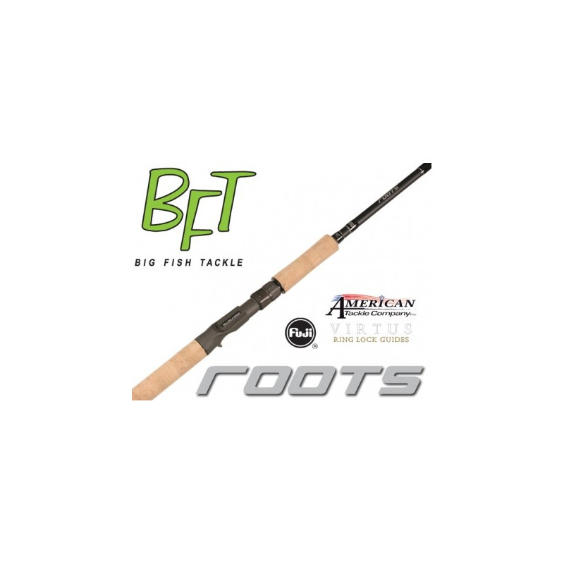 Canne casting BDT Roots 7.9" XH - 170gr 