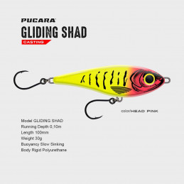 Pucara Gliding Shad (motifs lignes)
