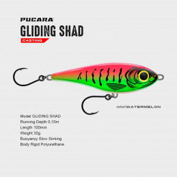 Pucara Gliding Shad (motifs dents)