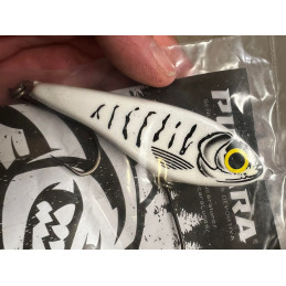 Pucara Gliding Shad (coloris spéciaux)